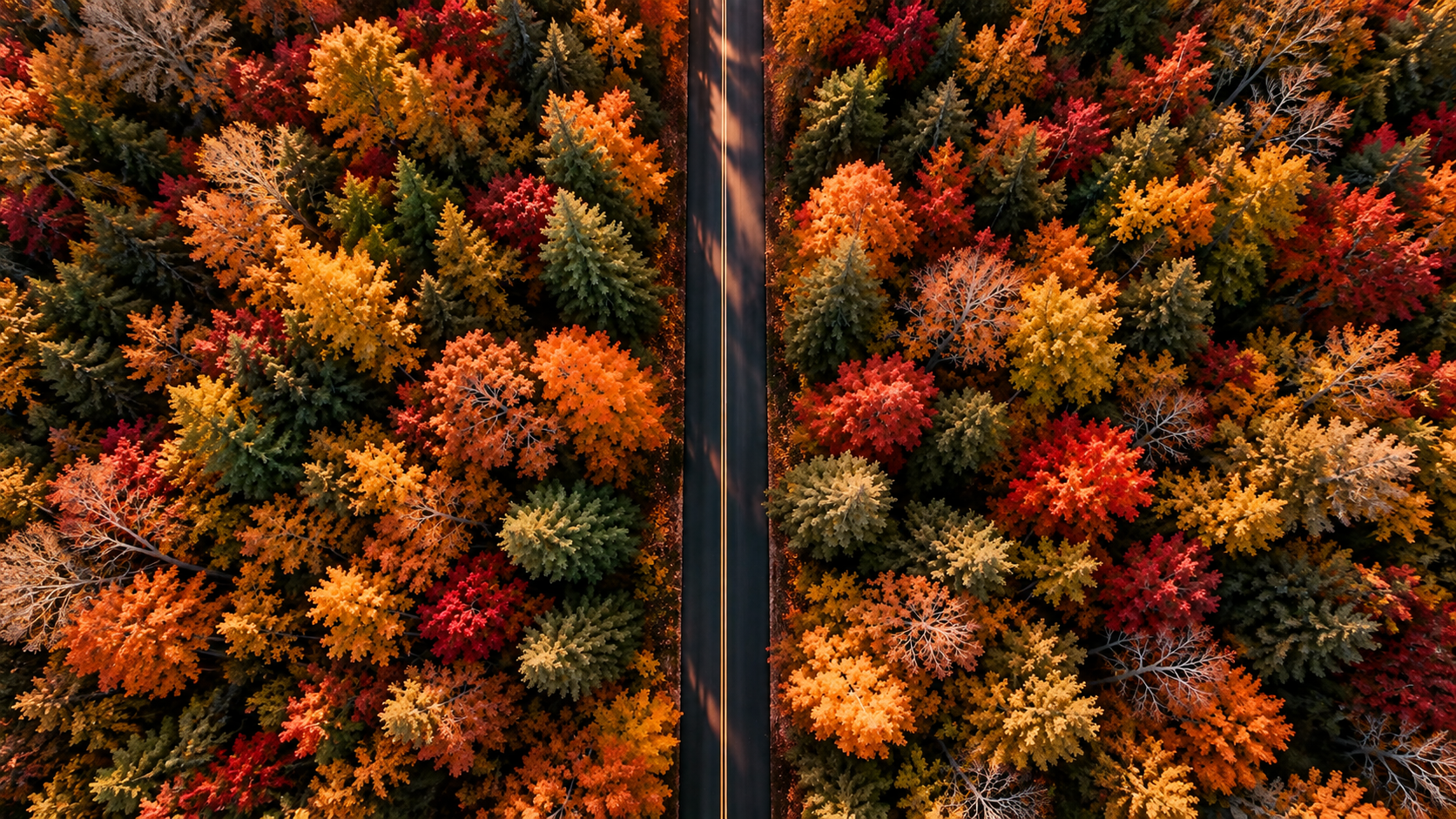 Our Journey